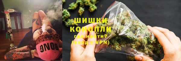 гидра Белокуриха