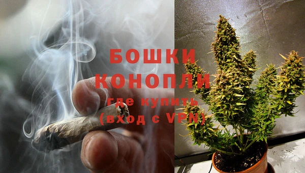 гидра Белокуриха