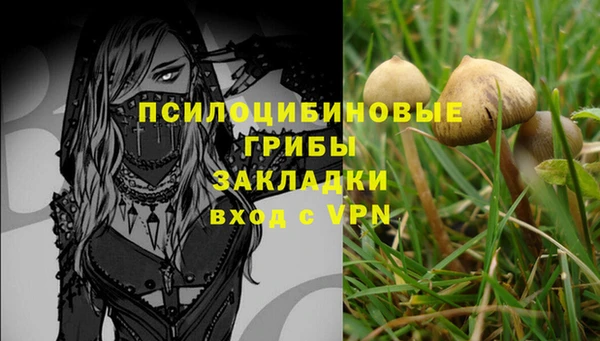 гидра Белокуриха