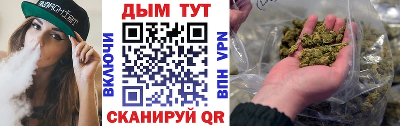 Канабис сатива  где купить наркотик  Вятские Поляны 